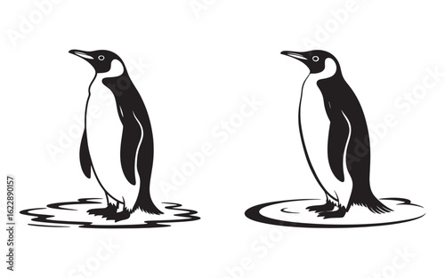 Two stylized black and white penguins standing on ice bird animal