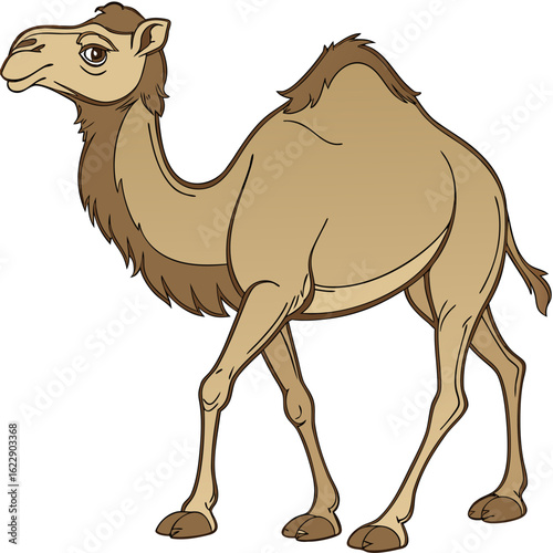 Cartoon dromedary camel standing and walking