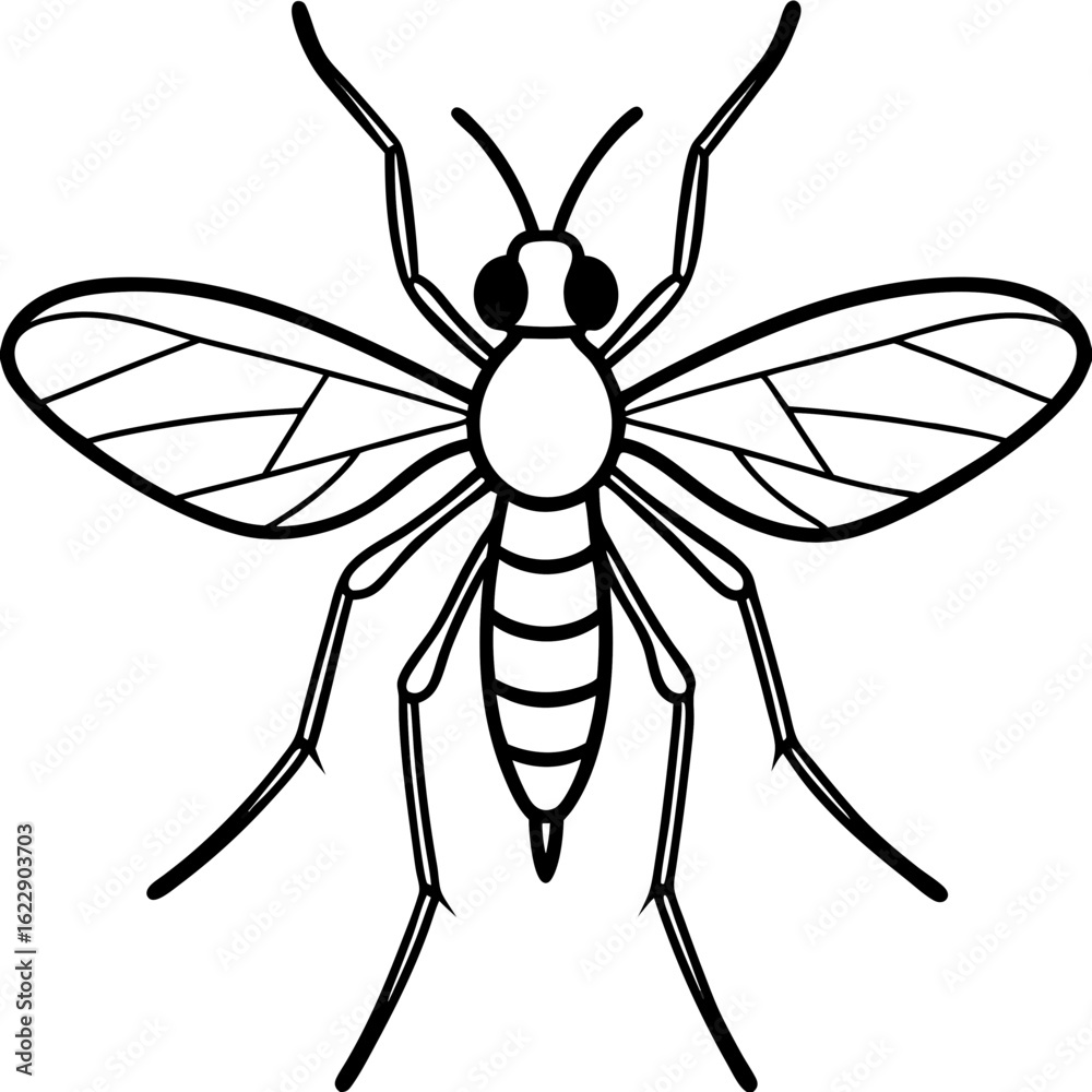 Fototapeta premium Forest Midge art vector