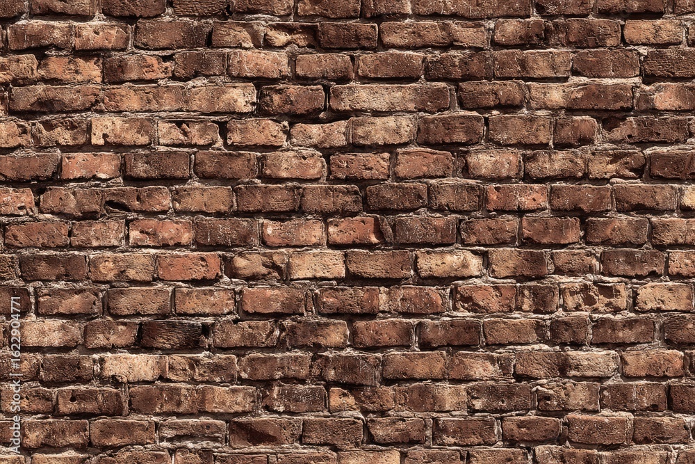 Obraz premium Aged brick wall texture (1)