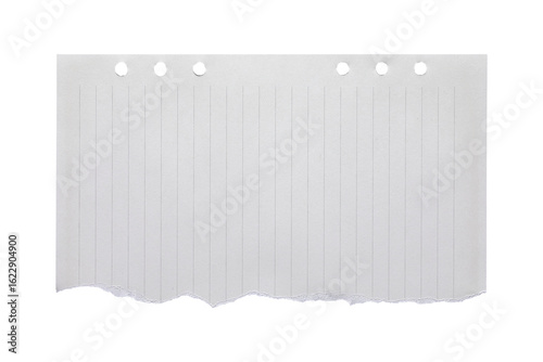 Tableau sur toile blank lined paper notebook paper with torn edges isolated on transparent backgro