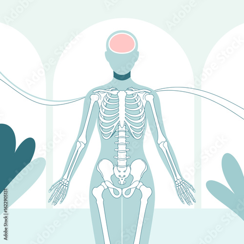 An artistic representation of a stylized human skeleton with a serene expression, set against a soft background, conveying themes of health, well-being, and anatomy.
