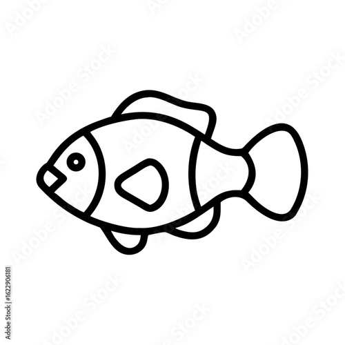 fish on a white background