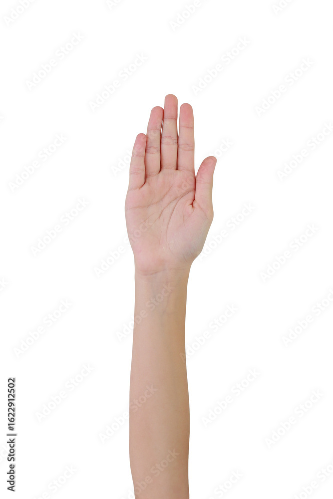 Hand raise up isolated on white background. Finger hand girl with clipping path. Hand raise up isolated on white background. Finger hand girl with clipping path.