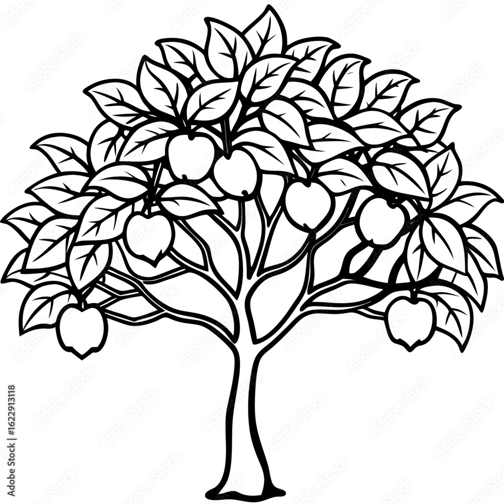 Obraz premium Guava Tree line art vector