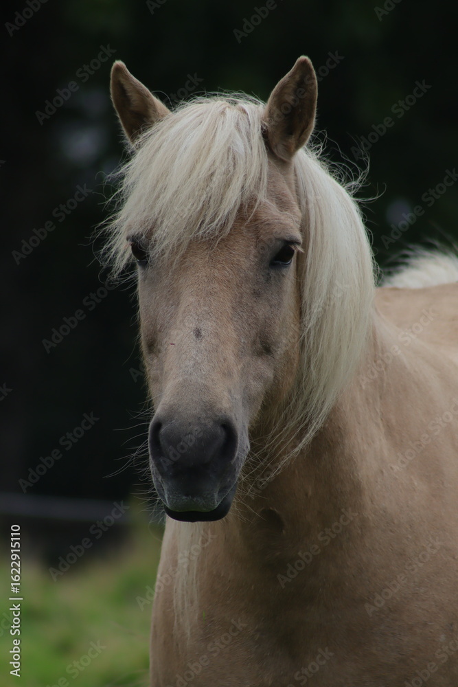 Obraz premium Island-Bilder