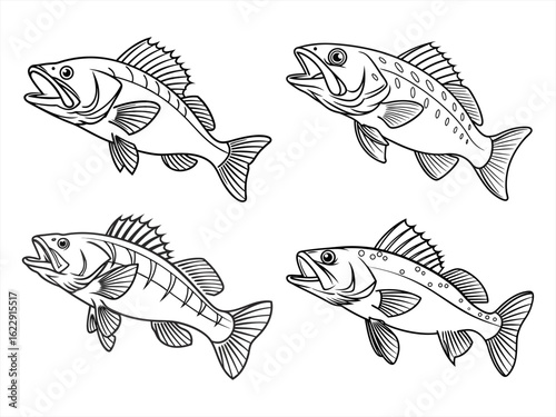 coloring page line art the walleye black vector bundle