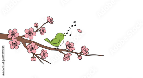A happy green bird sings its joyful song on a blooming cherry blossom branch