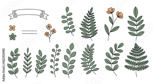 Collection Of Botanical Elements And Decorative Floral Accents For Design