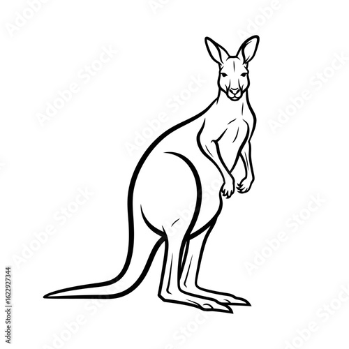 A simple black and white line art illustration of a kangaroo standing upright on a white background.