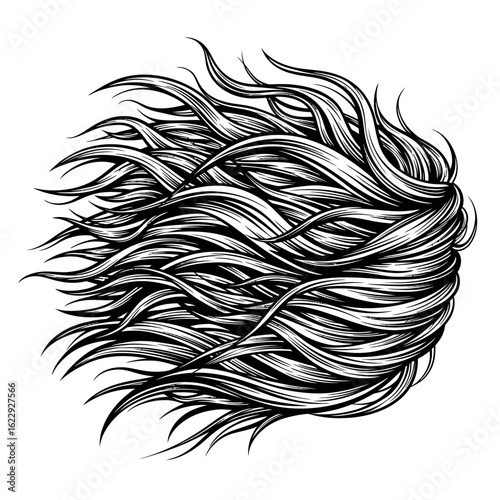 A detailed black and white illustration of long, wavy hair flowing dynamically in the wind.