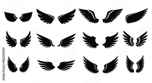 Vector illustration of 3d illustration of assortment of black wing designs isolated on white background