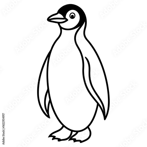 Penguin   line art vector