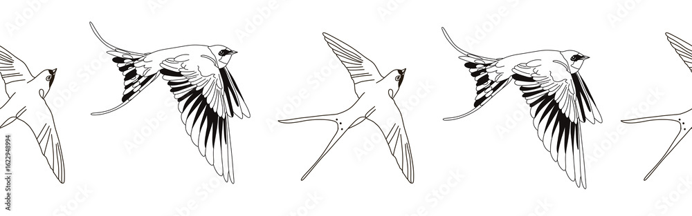 Obraz premium Border icon border. Bird feather silhouette symbol. Bird border isolated on white background 