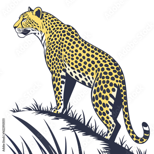 Cheetah standing on grassy hill, looking to the side