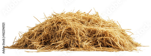 Small pile of scattered hay isolated on a transparent background. Natural dry straw texture perfect for agricultural or rustic design projects.