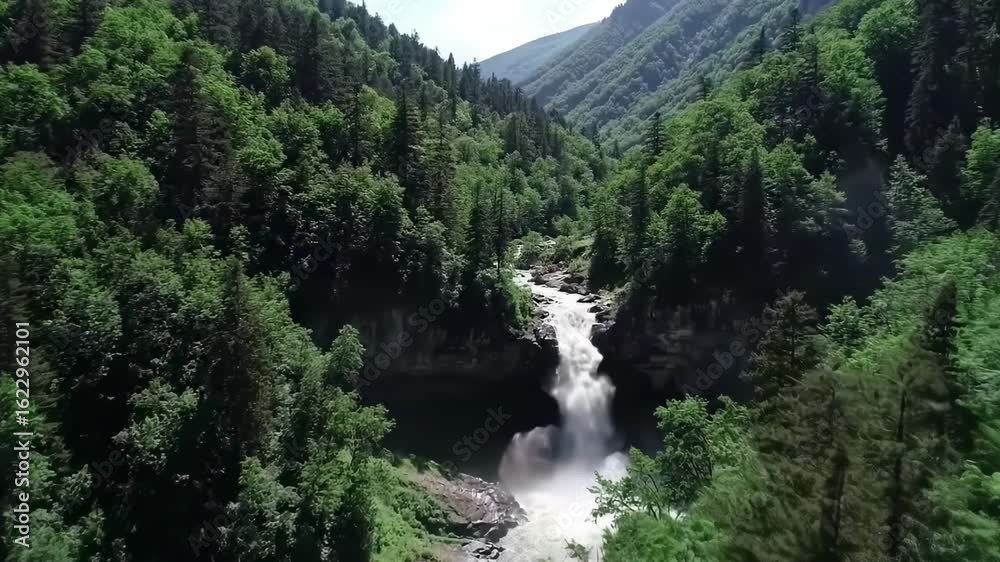 Lush green forest with a waterfall Lush green forest with a waterfall
