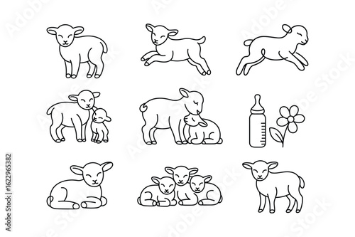 Baby sheep and farm elements lamb animal