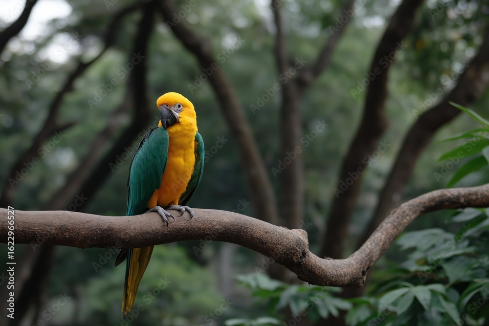 Fototapeta premium Colorful parrot perched on a branch in lush green forest environment