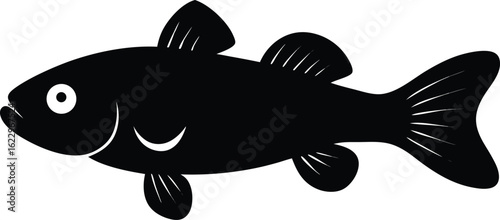 Vecteur d'illustration d'un poisson saumon sous-marin dans un fleuve d'eau de nature marine et faune
