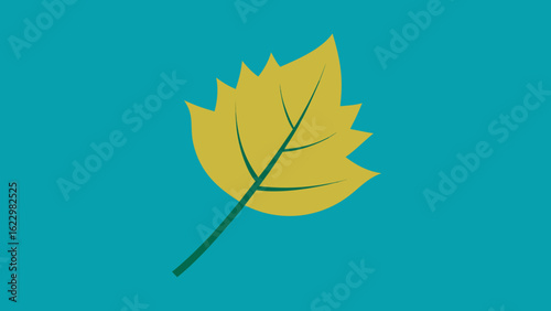 Single Yellow Sycamore Leaf Teal Background Flat Art