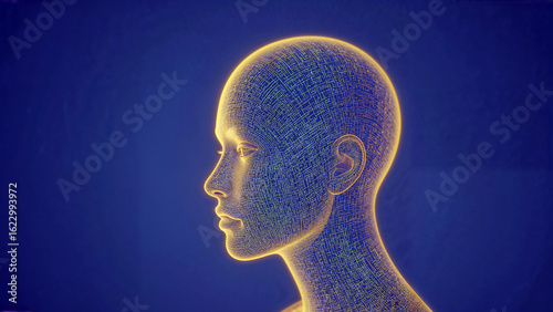 Digital glowing human head.