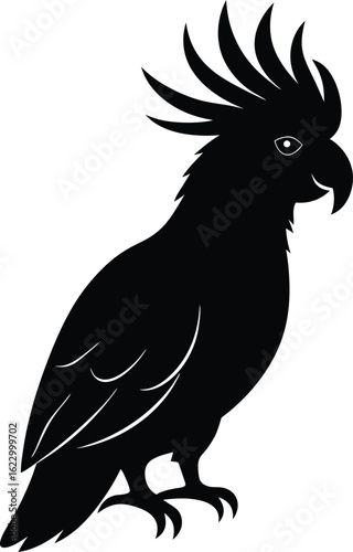 Silhouette of a cockatoo with crest feathers up isolated on transparent background