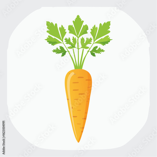 Vibrant carrot illustration with lush green tops set against a clean white background