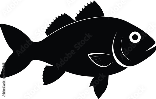Colorful vector clip art of a fish, showcasing its fins and scales in a stylized design