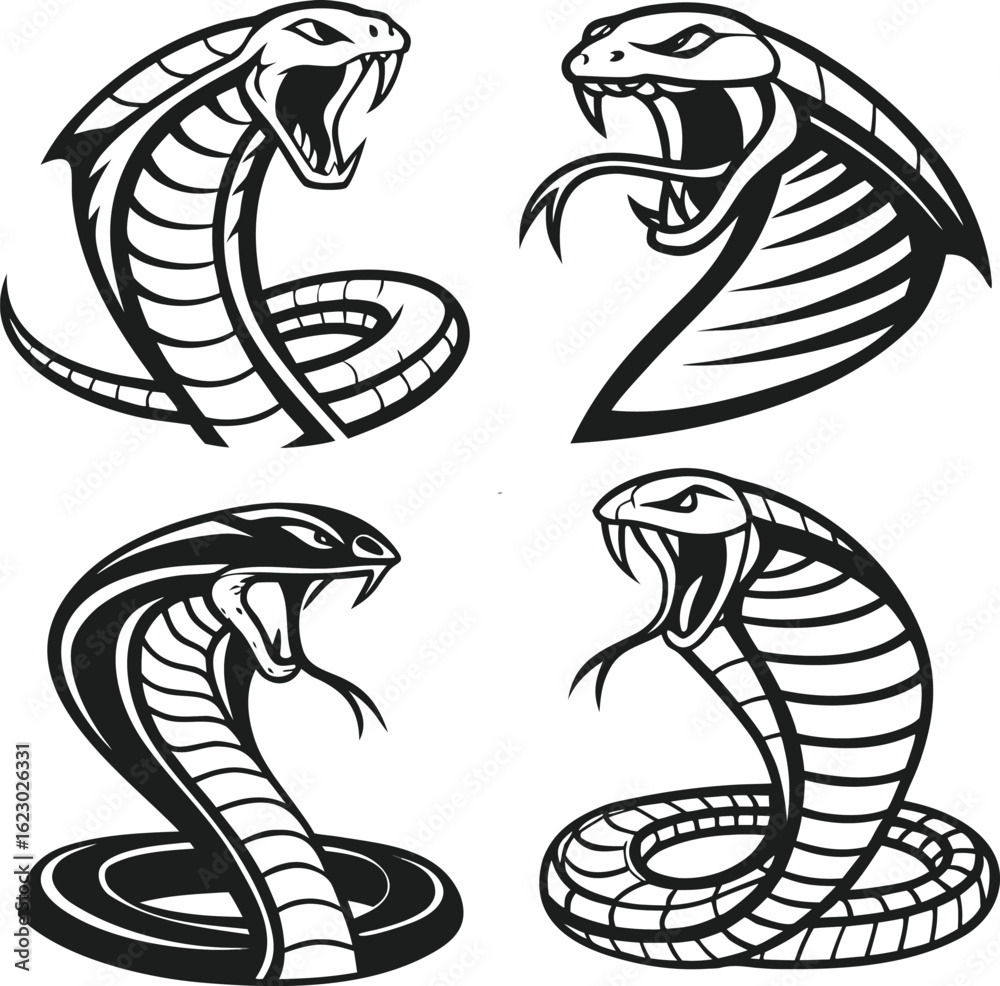 Fototapeta premium set of black and white snake