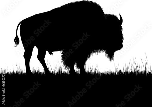 Silhouette of a bison standing in grassy field. Vector illustration