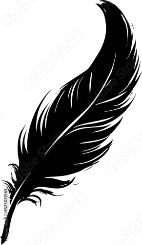 Black silhouette of a single feather, digital artwork. Vector illustration