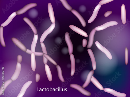 Lactobacillus Rod Probiotics. Detailed Macro View of Lactobacillus Gut Flora Cells. Microbiology