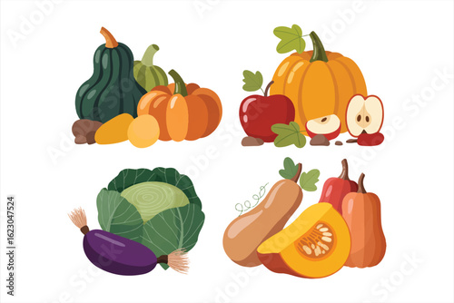 Autumn harvest set. Collections of pumpkin, squash, apple, cabbage and other types of vegetables. Vector illustration.