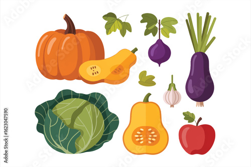 Autumn harvest set. Collections of pumpkin, squash, apple, cabbage and other types of vegetables. Vector illustration.