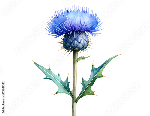 Ethereal thistle illustration radiating calming blue hues, perfect for botanical designs and evoking a sense of natural beauty in any creative project
