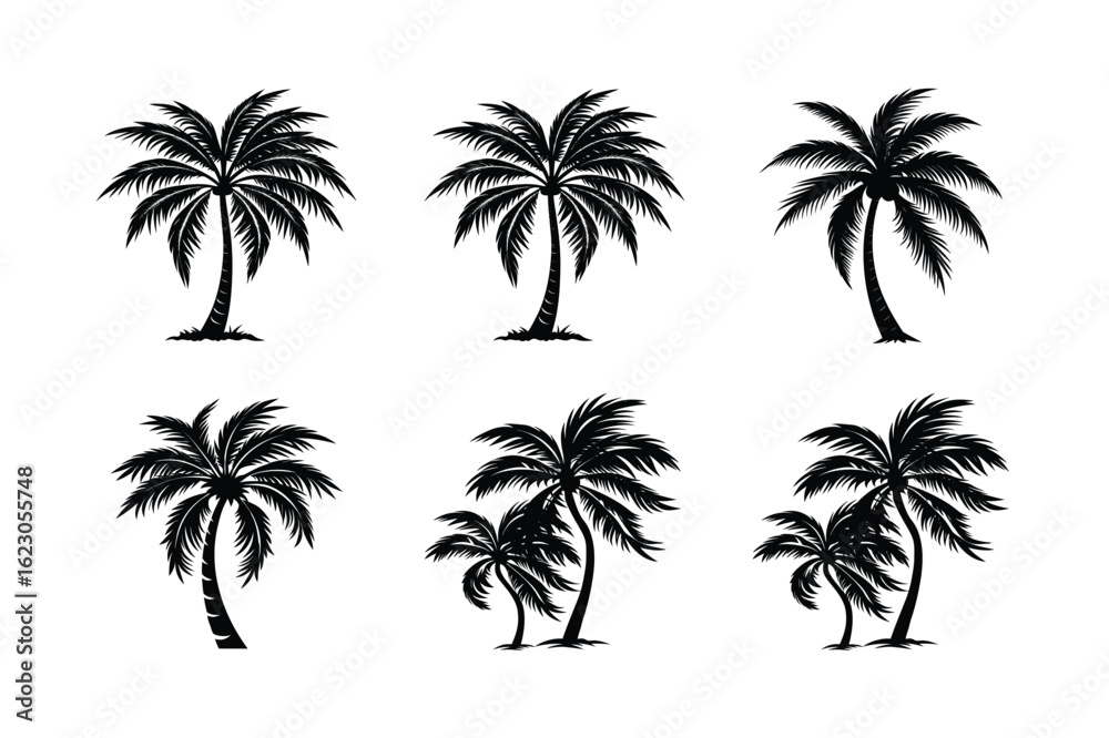 Fototapeta premium Palm Tree Bundle