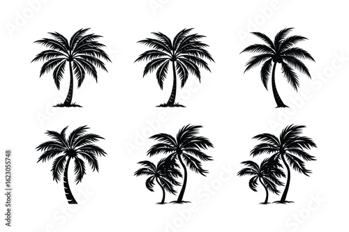 Palm Tree Bundle
