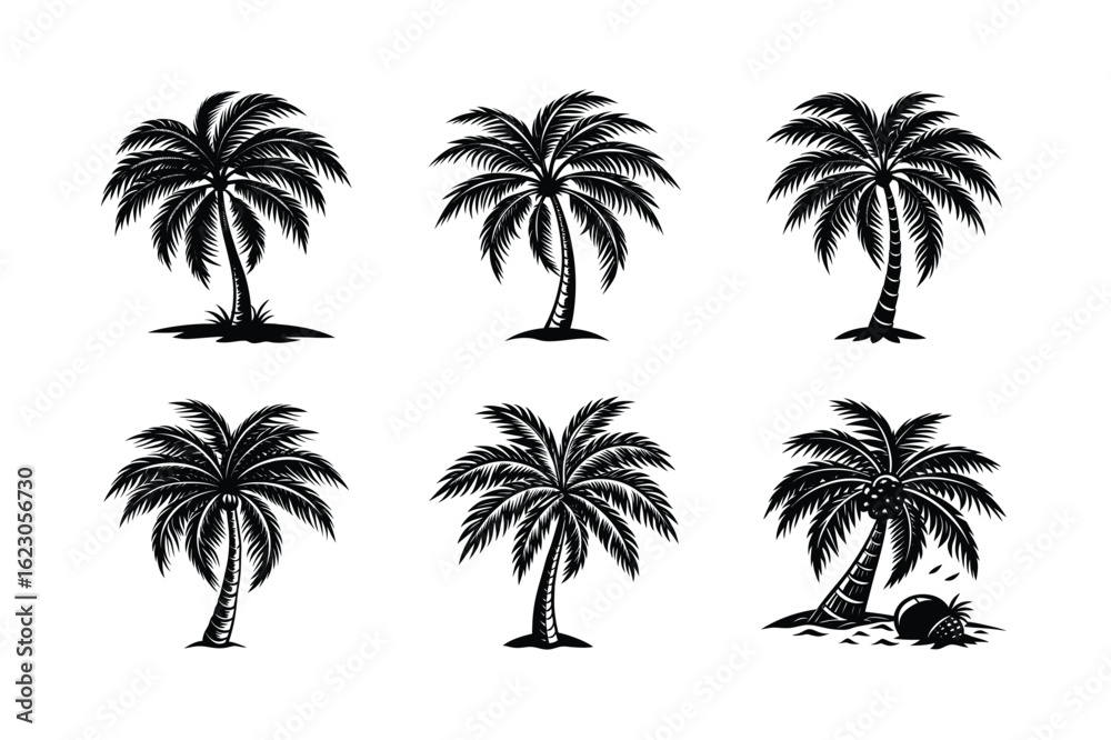 Fototapeta premium Palm Tree Bundle