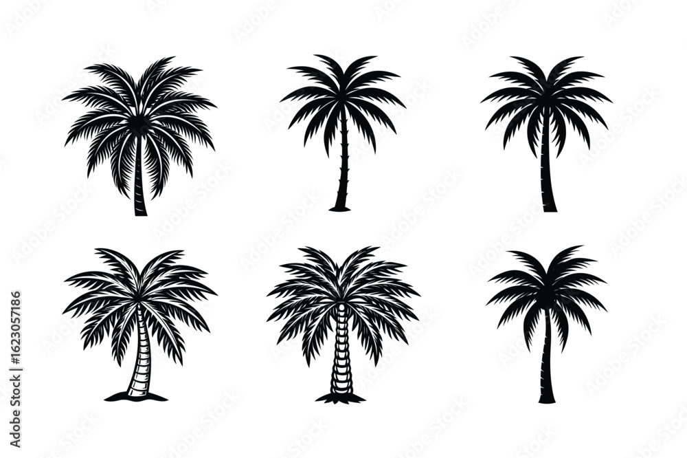 Fototapeta premium Palm Tree Bundle