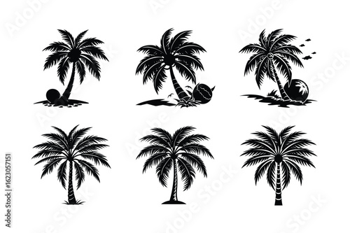 Palm Tree Bundle