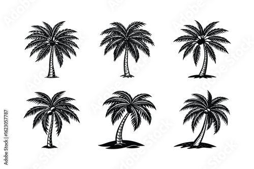 Palm Tree Bundle
