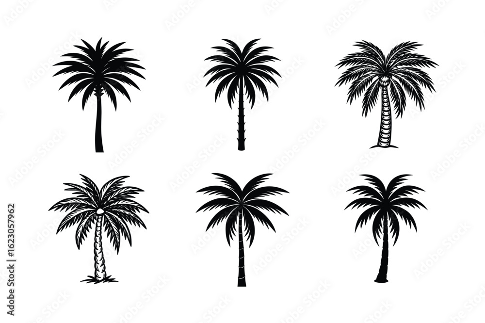 Fototapeta premium Palm Tree Bundle