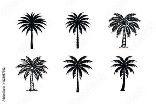 Palm Tree Bundle