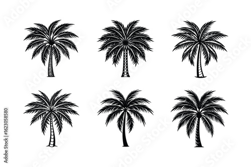 Palm Tree Bundle