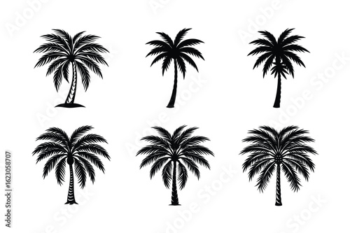 Palm Tree Bundle