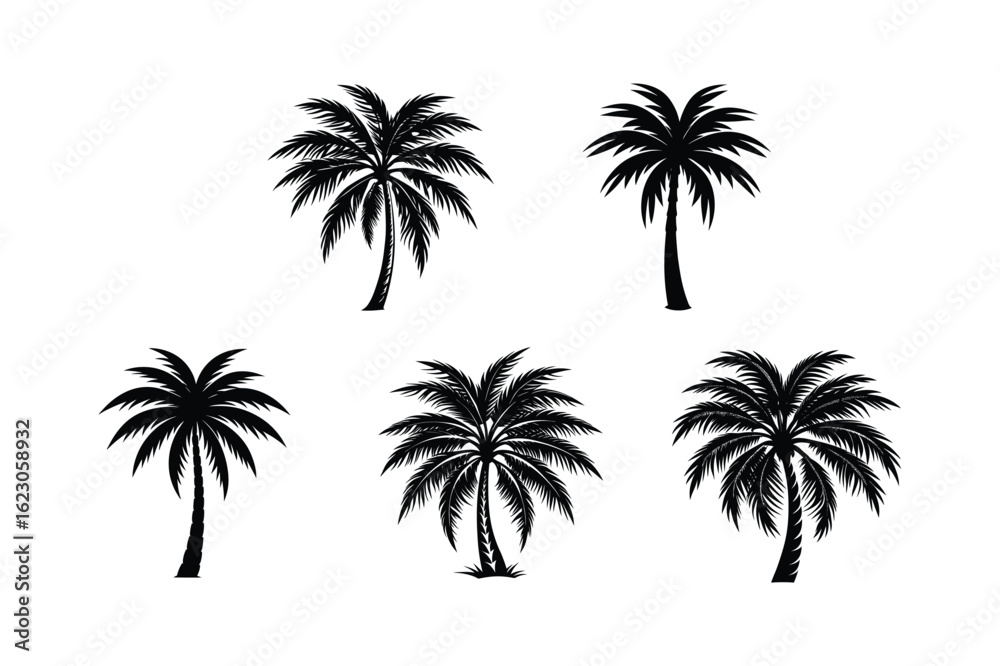 Fototapeta premium Palm Tree Bundle