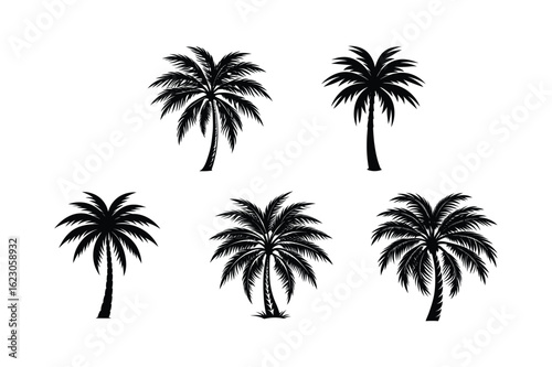 Palm Tree Bundle