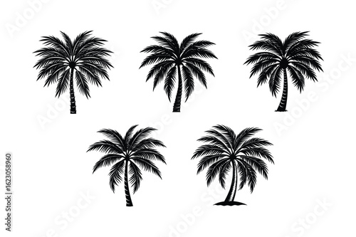 Palm Tree Bundle
