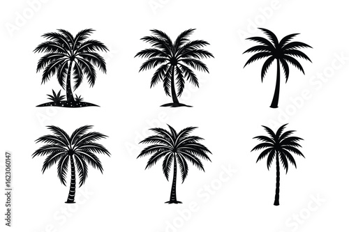 Palm Tree Bundle